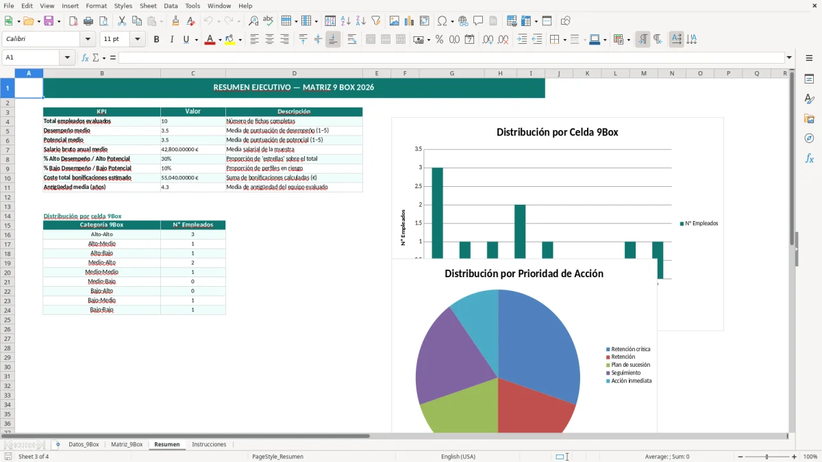 Captura 3: hoja Resumen - Plantilla Excel plantilla matriz 9 box excel