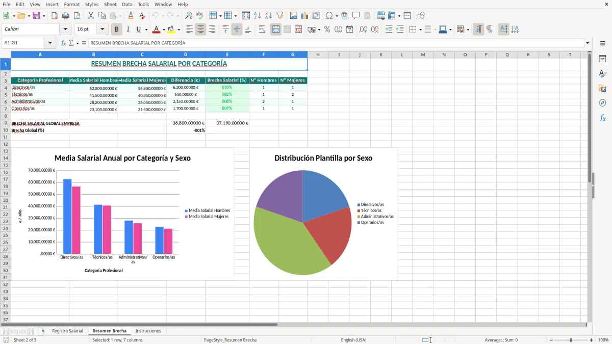 Captura 2: hoja Resumen Brecha - Plantilla Excel plantilla registro salarial obligatorio excel